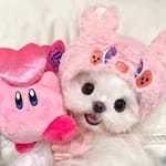 Mia Franco avatar